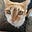 Fuzzy's avatar