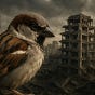 Sparrow Wars's avatar