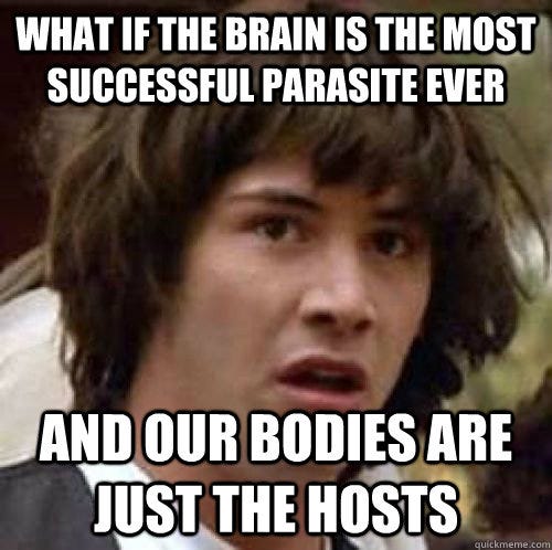 What if the brain is the most successful parasite ever and our bodies ...