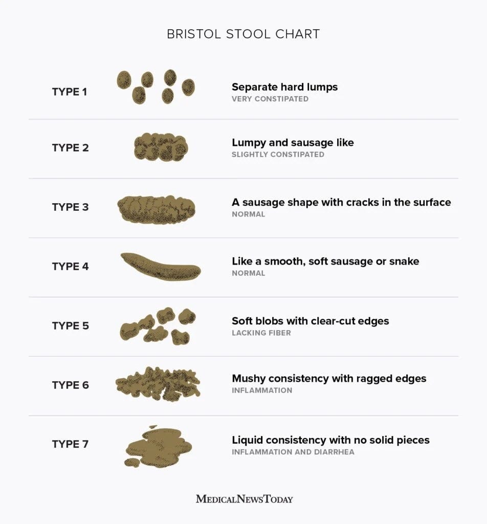 What “Normal” Poop Actually Looks Like (Bristol Stool Scale Explained)