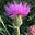 Mary Keir's avatar
