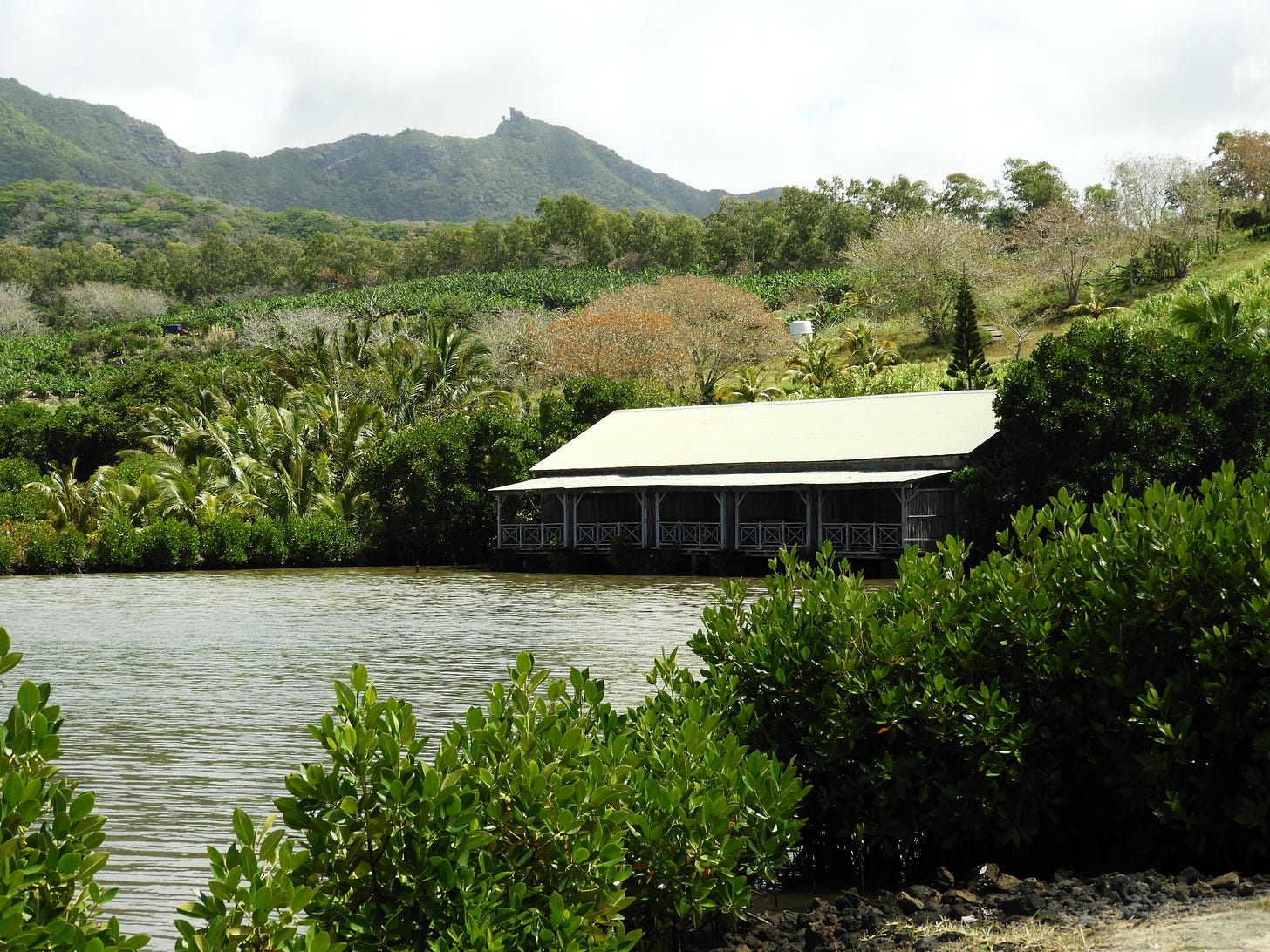 Photo: A lodge existing within a barachois and surrounded by mangroves, highlight the ecosystem’s rising use for eco-tourism. Credit: Raphael Merven Photo: A lodge existing within a barachois and surrounded by mangroves, highlight the ecosystem’s rising use for eco-tourism. Credit: Raphael Merven