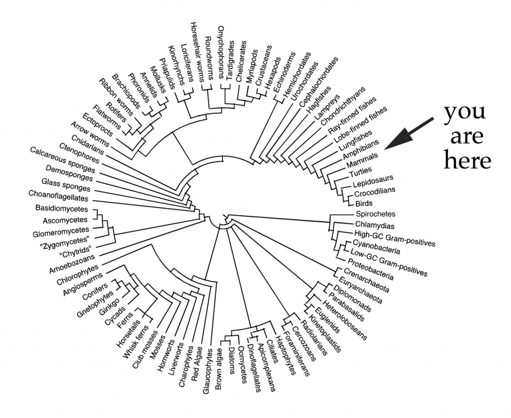 you are here you are here