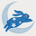 Moon Rabbit Musings
