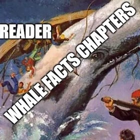 Your Novel Should Be More Like Moby-Dick