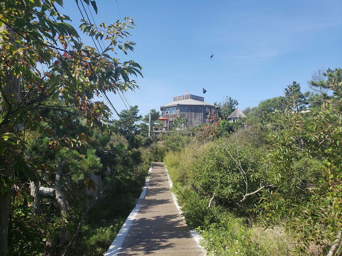 Wooden boardwalk cutting through lush greenery toward a weathered beach house under a clear blue sky, evoking a quiet coastal setting. Wooden boardwalk cutting through lush greenery toward a weathered beach house under a clear blue sky, evoking a quiet coastal setting.