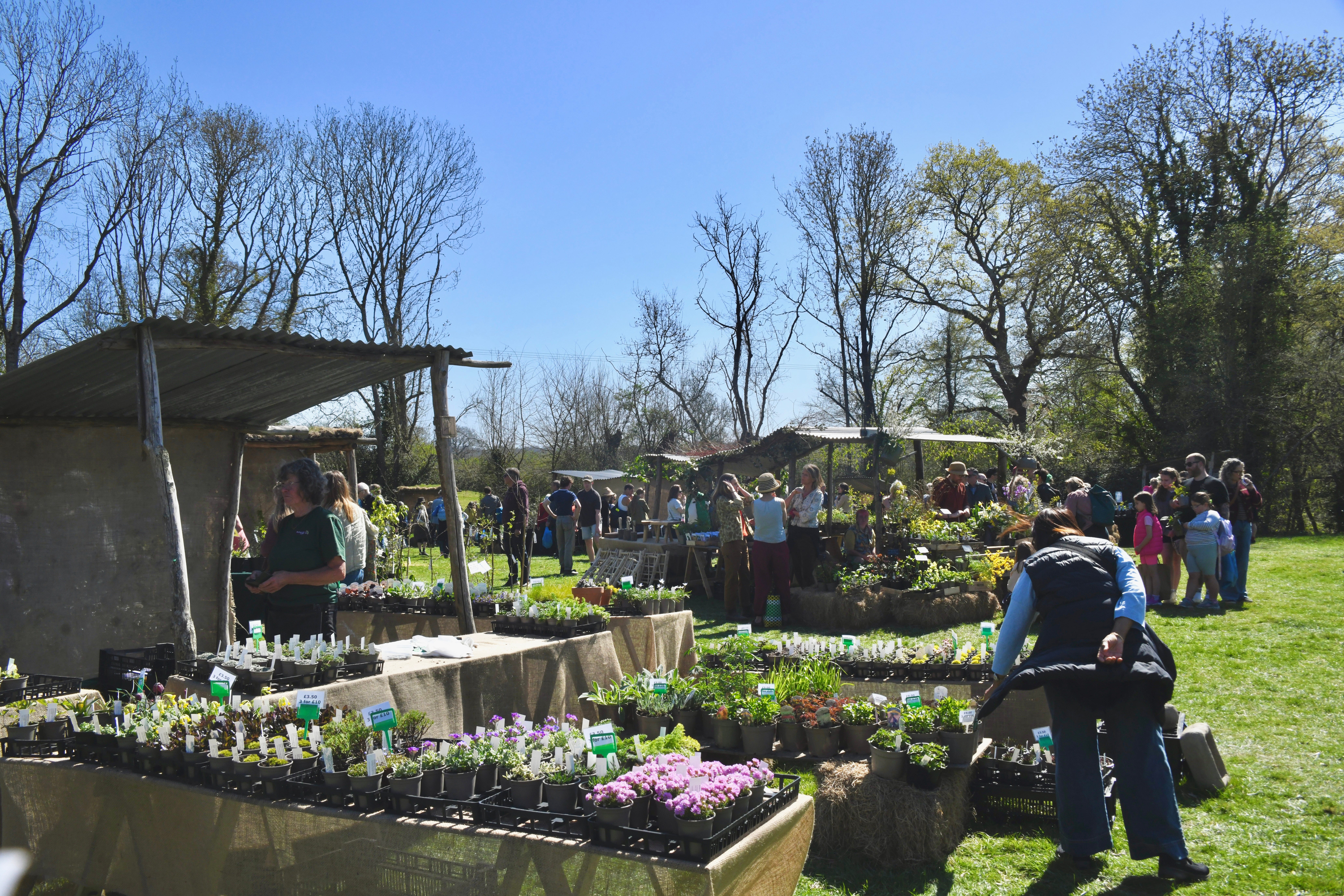 Visiting Great Dixter's Spring Plant Fair, East Sussex