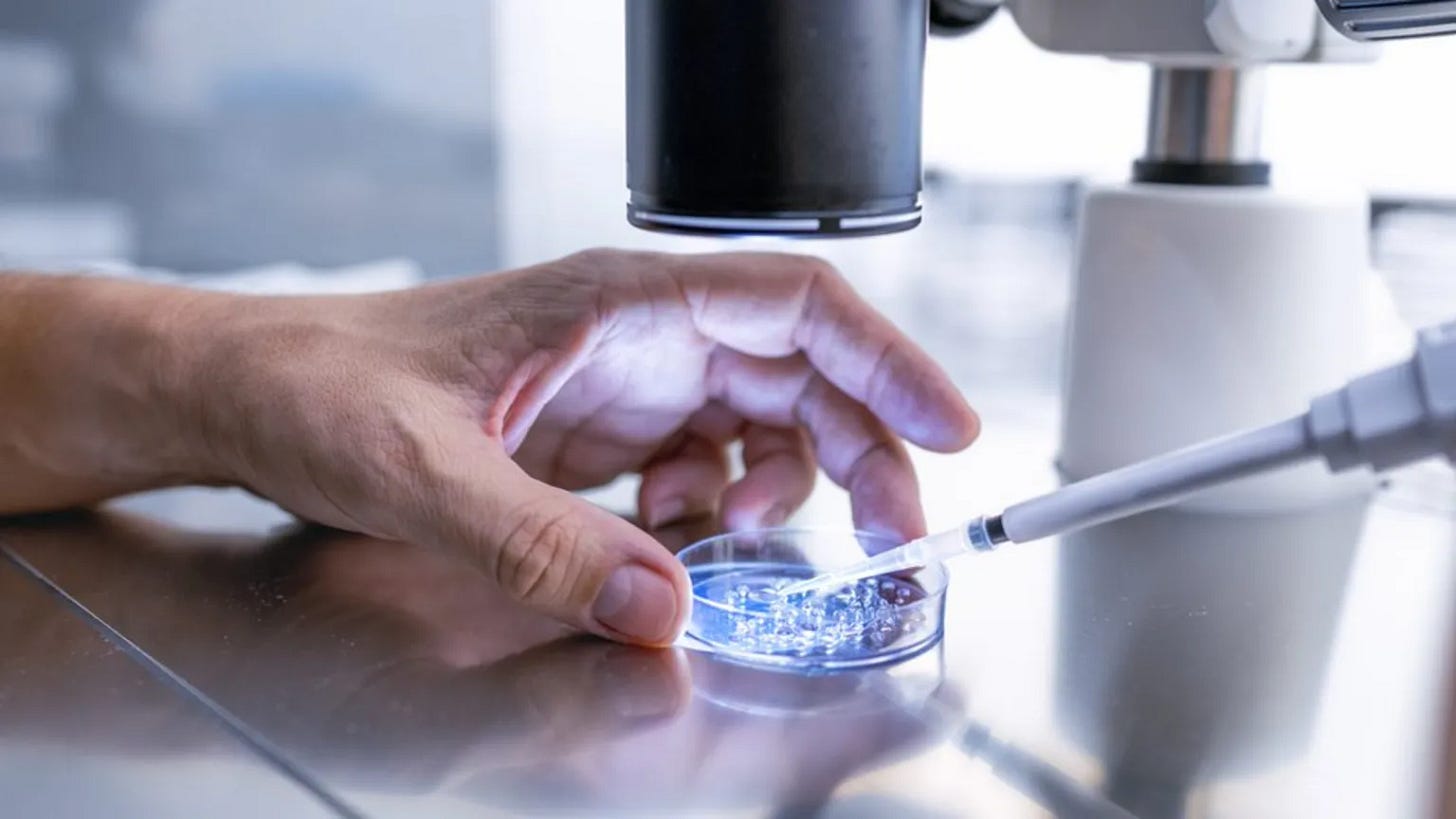 A weird hand holding a dish full of embryos steady while a pipette(?) does something to it too.