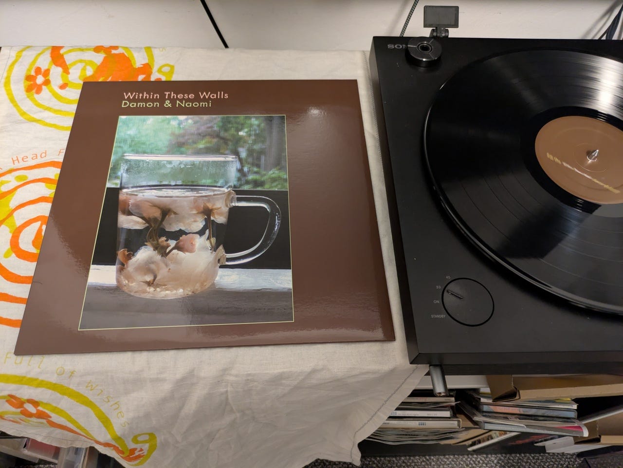 Damon & Naomi - Within These Walls (LP)