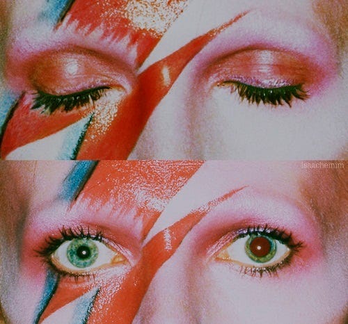 Image result for david bowie tumblr