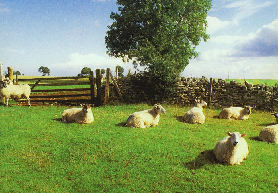 KLF AMBIENT RAVE ACID HOUSE CHILL OUT The KLF | Chill Out [HQ