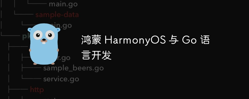 HarmonyOS and Go language development