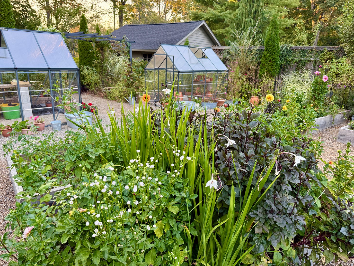 Two greenhouses and bunches of produce and dahlias in the productive garden this month.