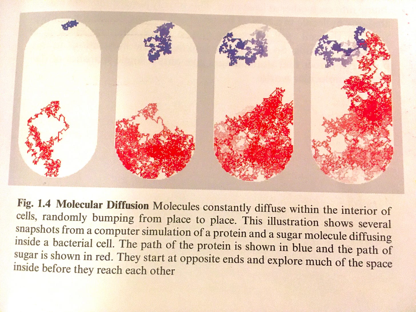 I should have loved biology too