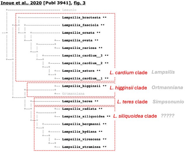 Cladogram depicting four Lampsilis clades.