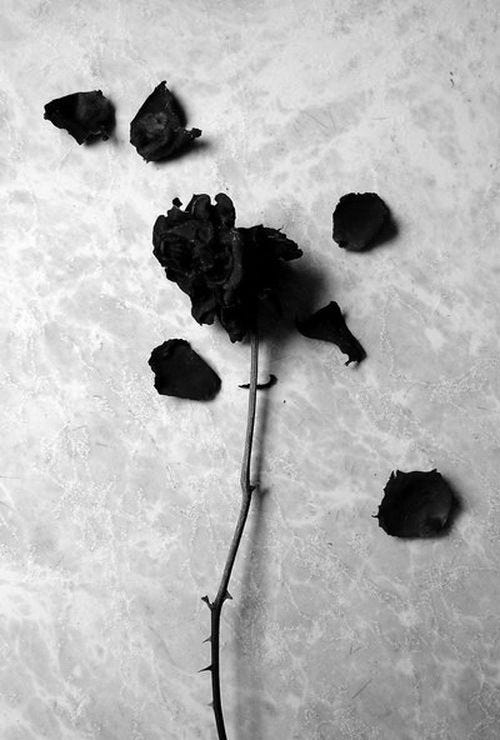 Neglected Sentiments