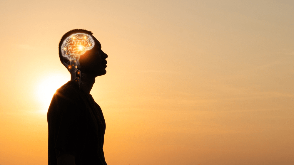 The Gifted Mind - by Ilse Gevaert - Ilse’s Substack