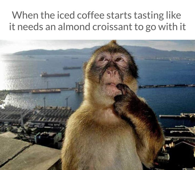 Monkey Thinking Meme Template — Kapwing