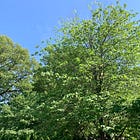 Thank Goodness Summer Is Finally Here