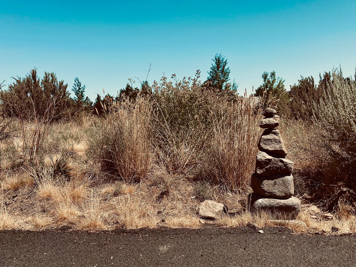 Shrubs, rocks, and a natural landscape.