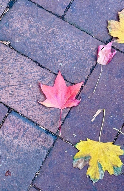 photos of head house farmers market and fall in philly