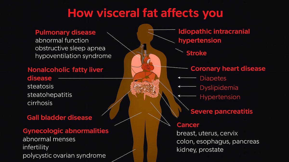 The World's Easiest Diet To Eliminate Visceral Fat