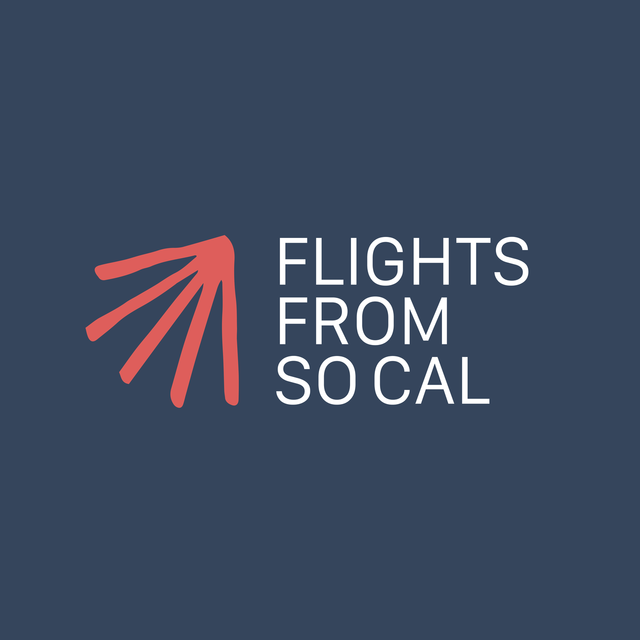 Substack profile picture for @flights