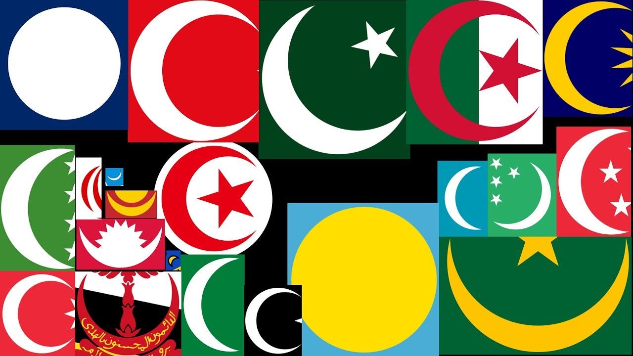 Flag With Half Moon And Star