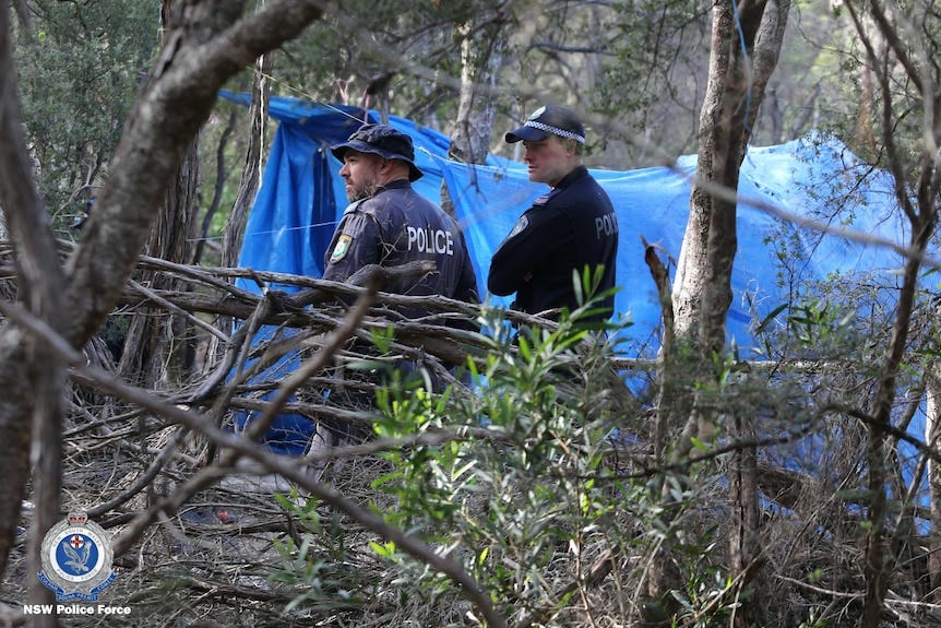 Byron Bay bushland searched for missing woman Thea Liddle, last seen in  Mooball - ABC News