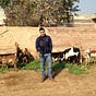Umair Saeed's avatar