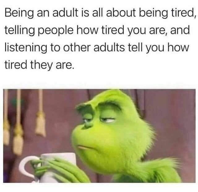 being an adult meme : Second Language Strategies being an adult meme : Second Language Strategies