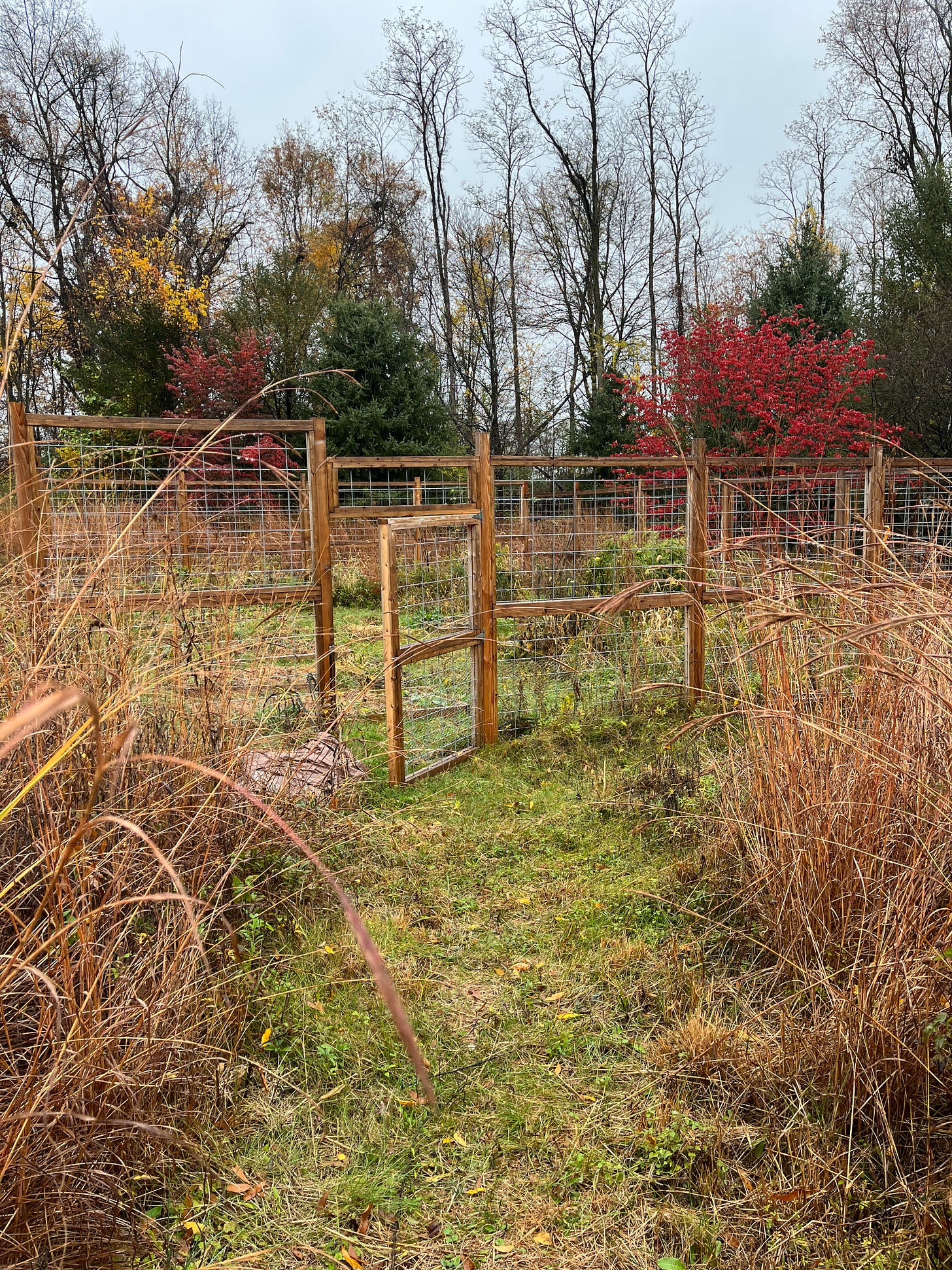 A garden gate hanging open