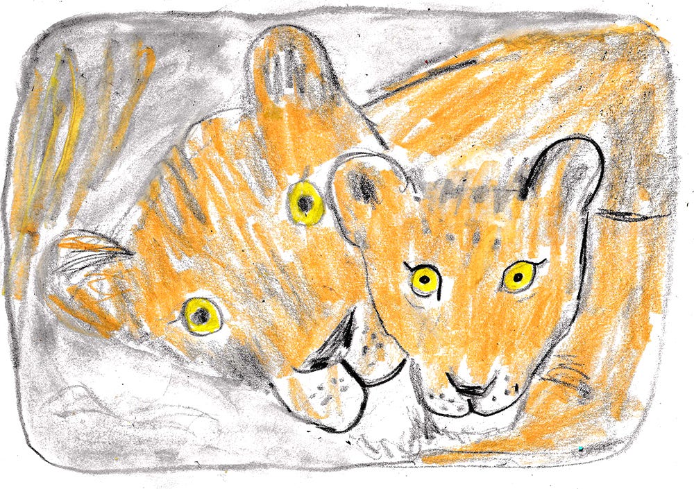 lion mom and cub by Beth Spencer lion mom and cub by Beth Spencer