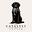 The Catalyst Letter's avatar