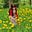 Lluïsa SuperCore's avatar