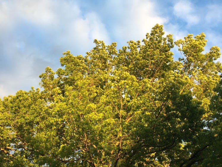 The Symbolic Journey 