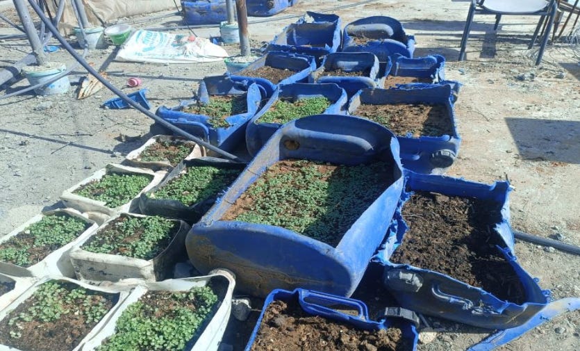 Famine is imminent in the northern part of the Gaza Strip, where around 300,000 people are trapped, the UN has warned