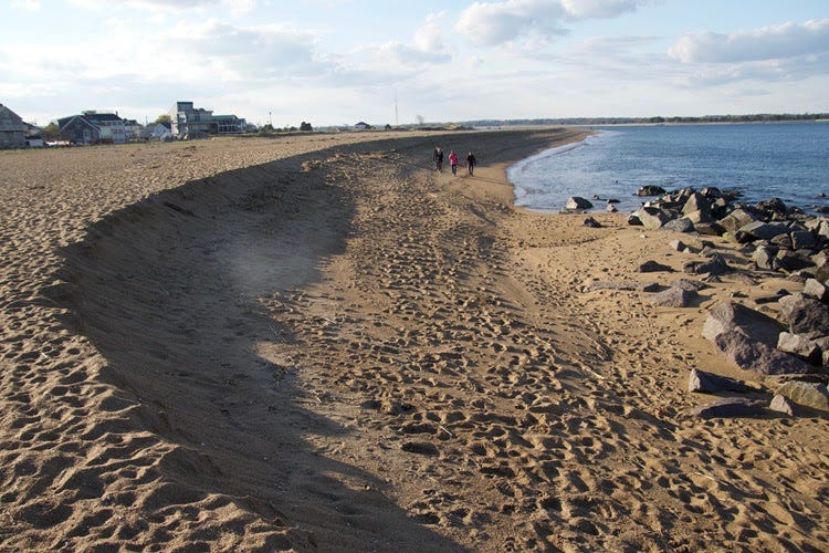 Three people walking along Plum Island's beach Three people walking along Plum Island's beach