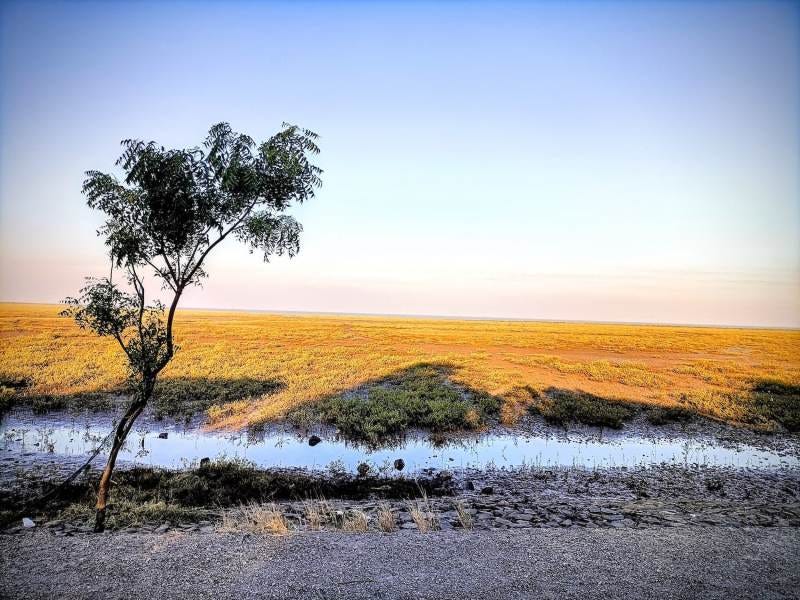 Dandi Surat, Gujarat, India for Cauvery Calling article