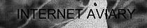 internet aviary