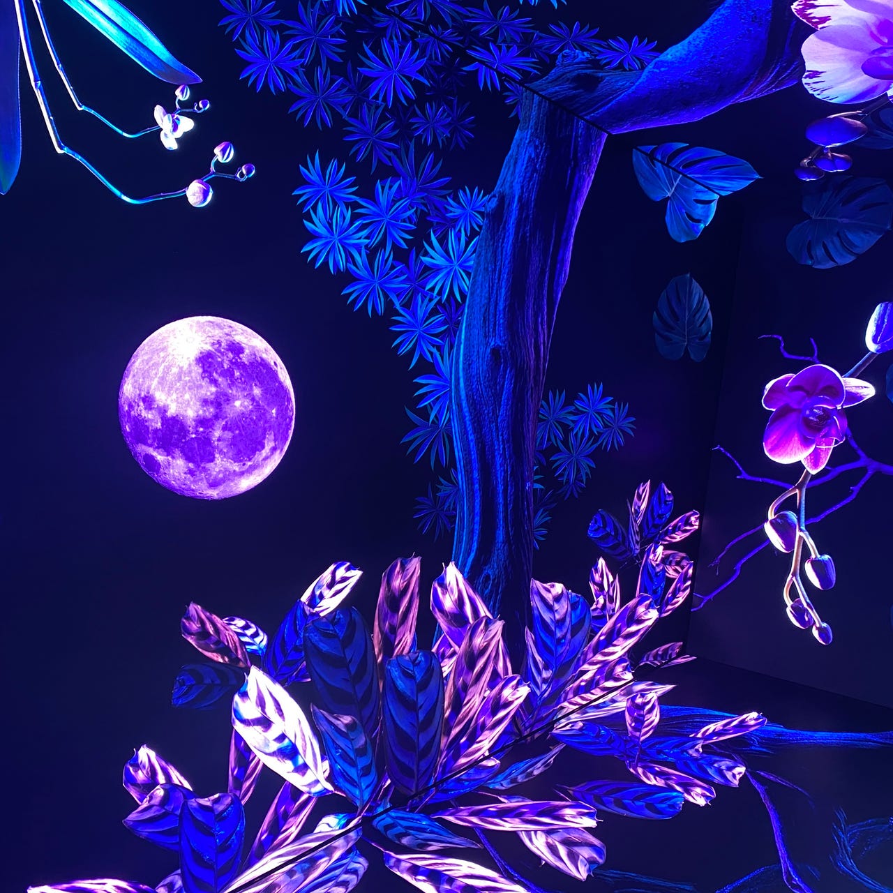 Between Facts and Dreams