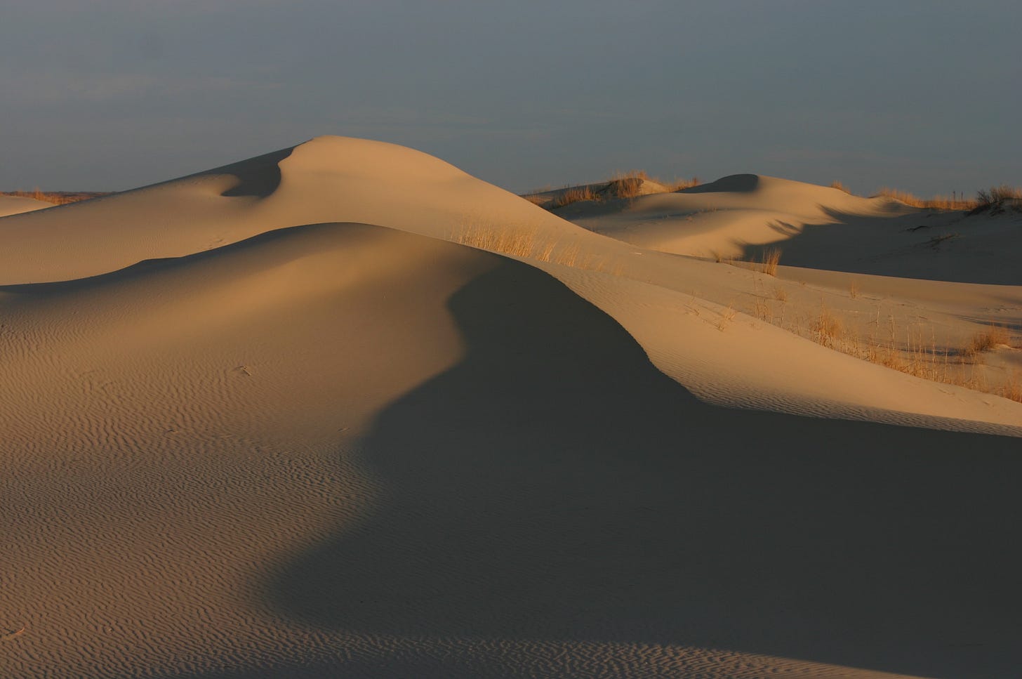 Monahans Sandhills State Park - Wikipedia
