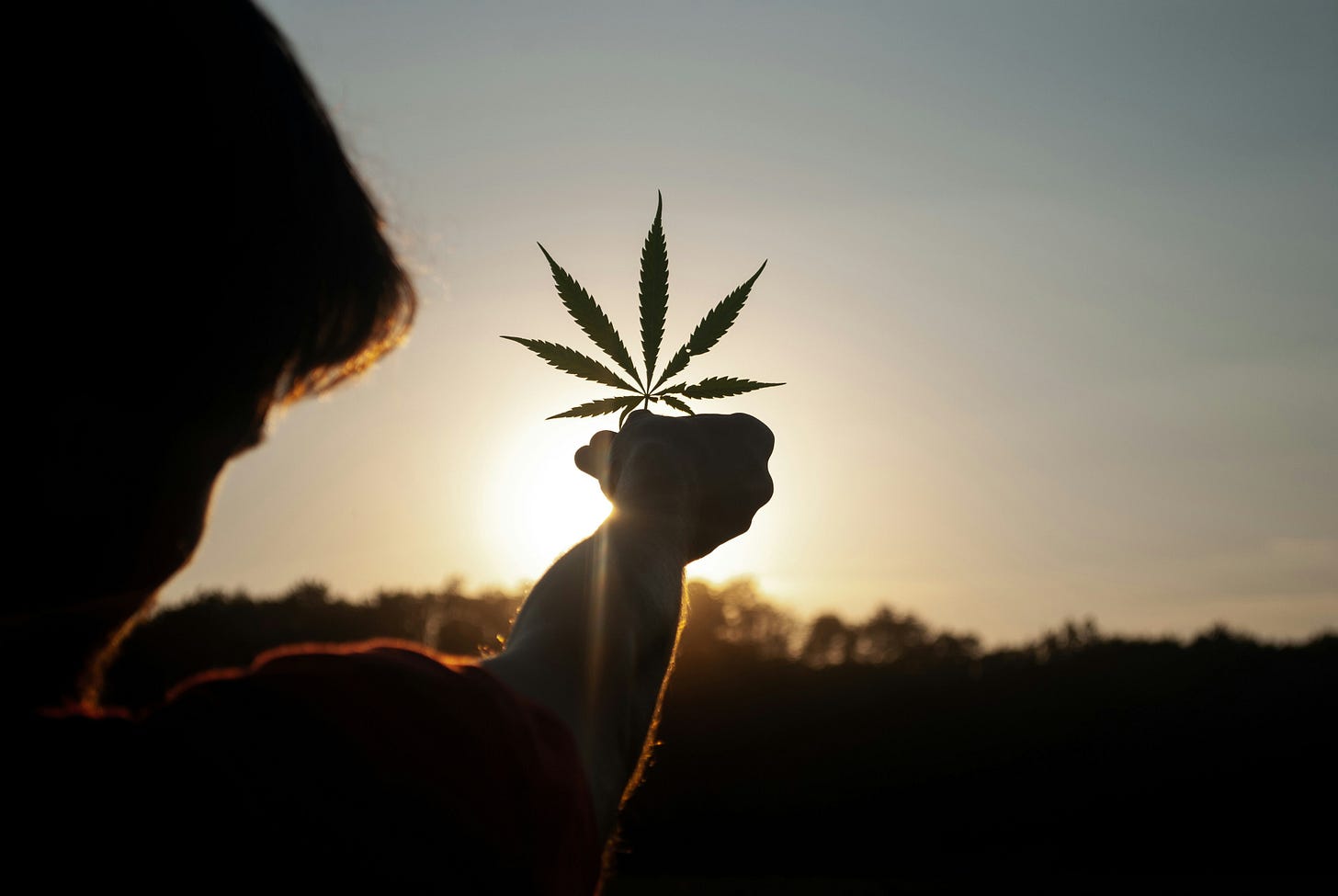 A silhouetted figure holding up a cannabis leaf against the backdrop of a golden sunset, symbolizing nature, mindfulness, and connection. [Source: ChatGPT]