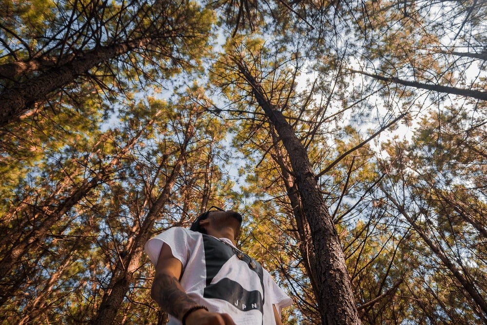 man in white and black stripe polo shirt standing under brown tree during daytime man in white and black stripe polo shirt standing under brown tree during daytime