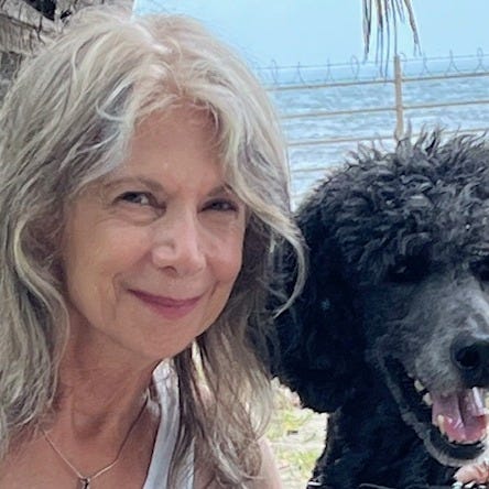 This, and now THIS… Postcards from Key West