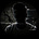 Avatar de R.