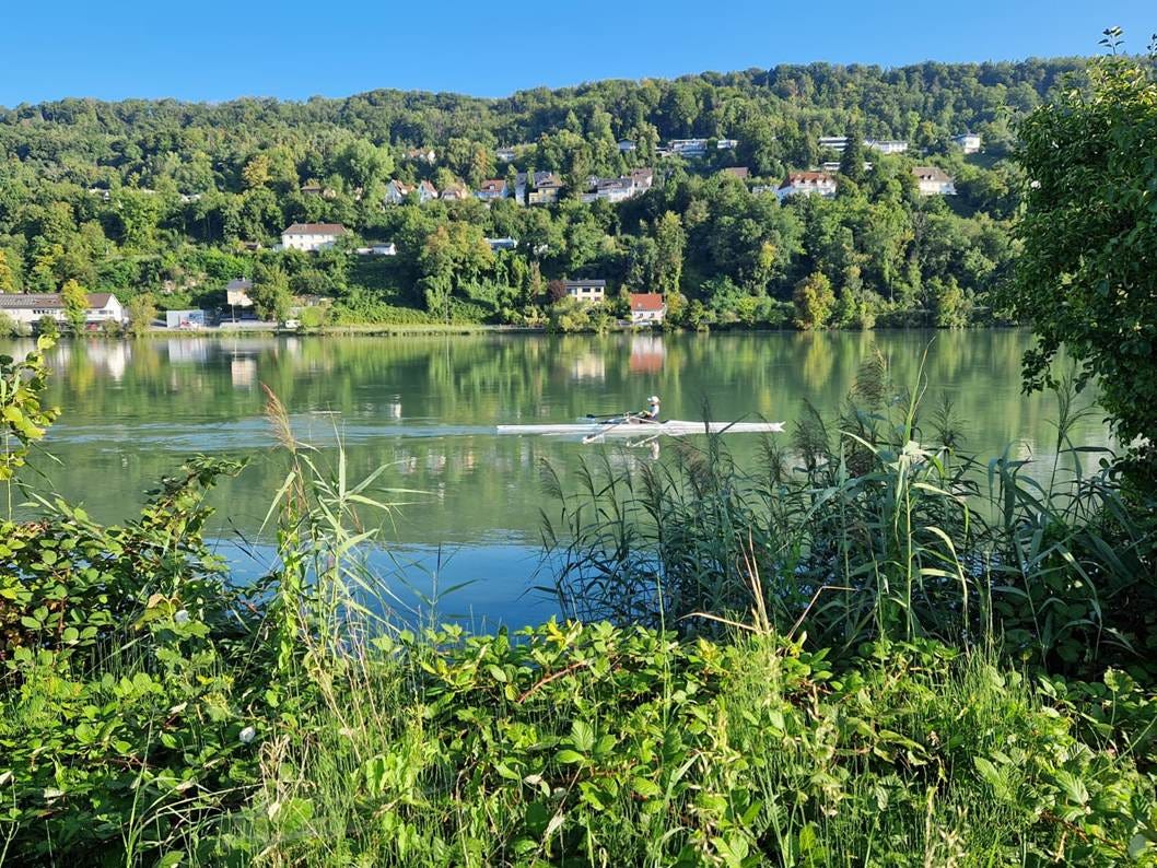 rower on the river with some reflection on the water. much green on either side with houses across in Germany. Blue skies. 