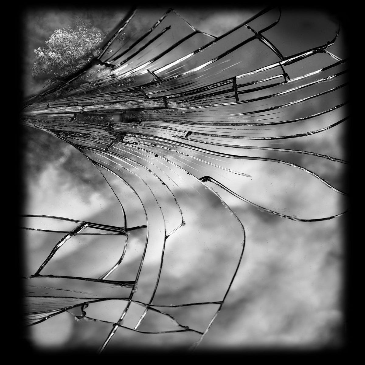 Cracked Mirror - Clara MILL Art