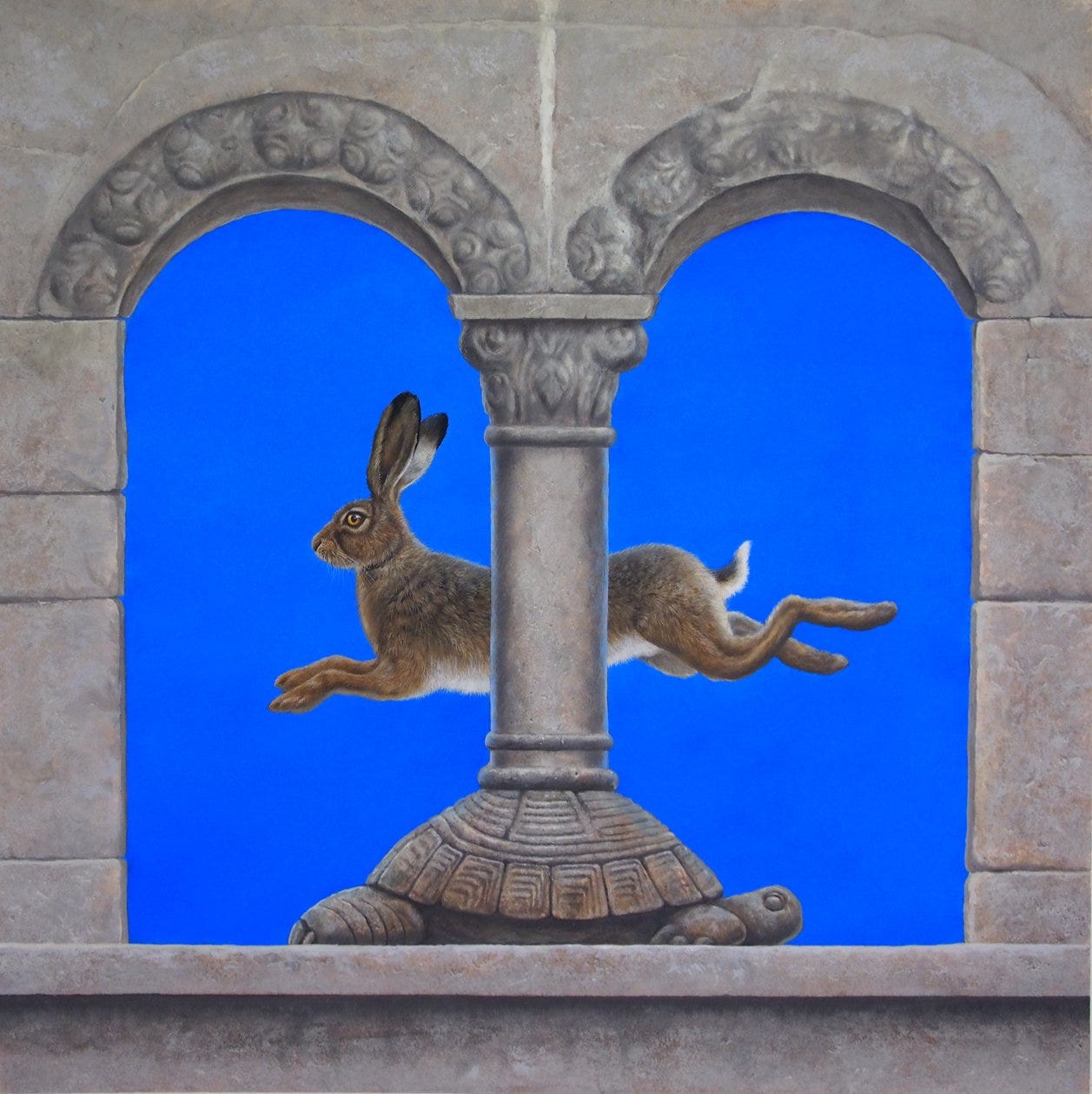 The Hare and the Tortoise by Tim Hayward