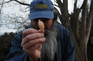 flick o the chip